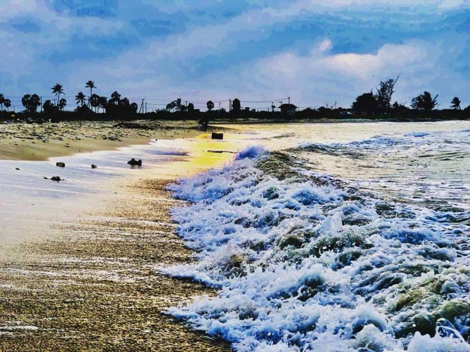 Sai Seashell Rest Inn Nilaveli Trincomalee Luaran gambar